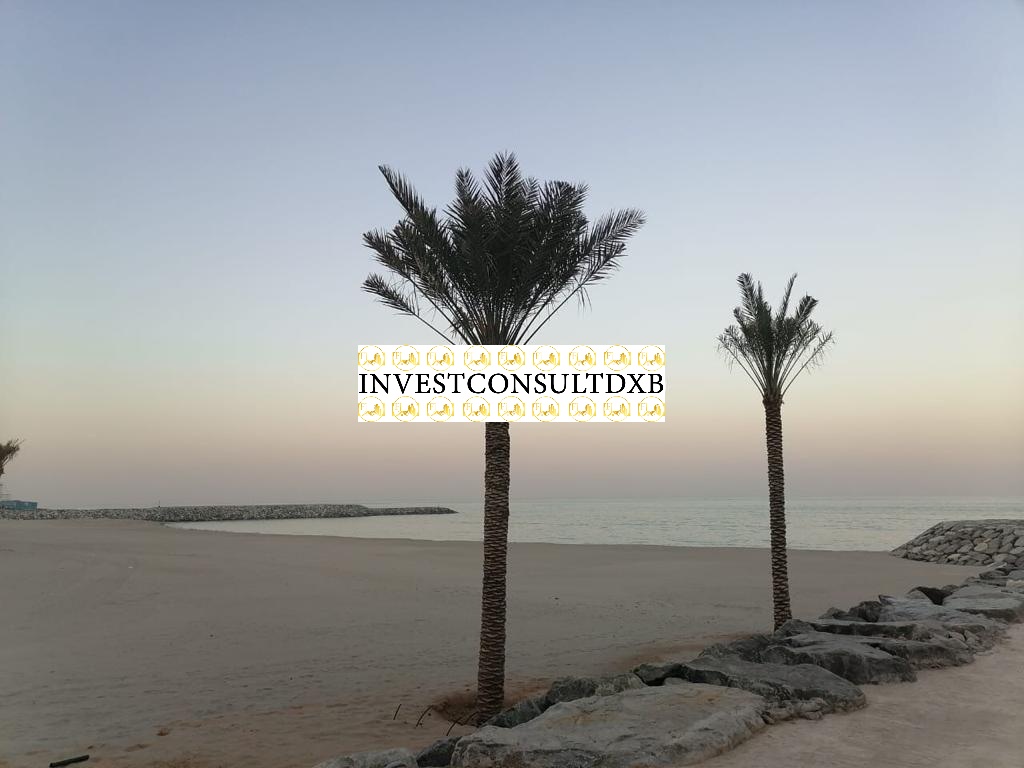 Direct Beach Access | Luxury Apartments | Exclusive Amenities | Best Deal